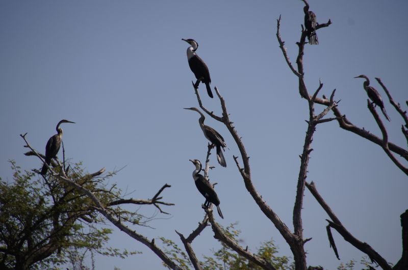 Viewing photos→2017→2017-12-05→141