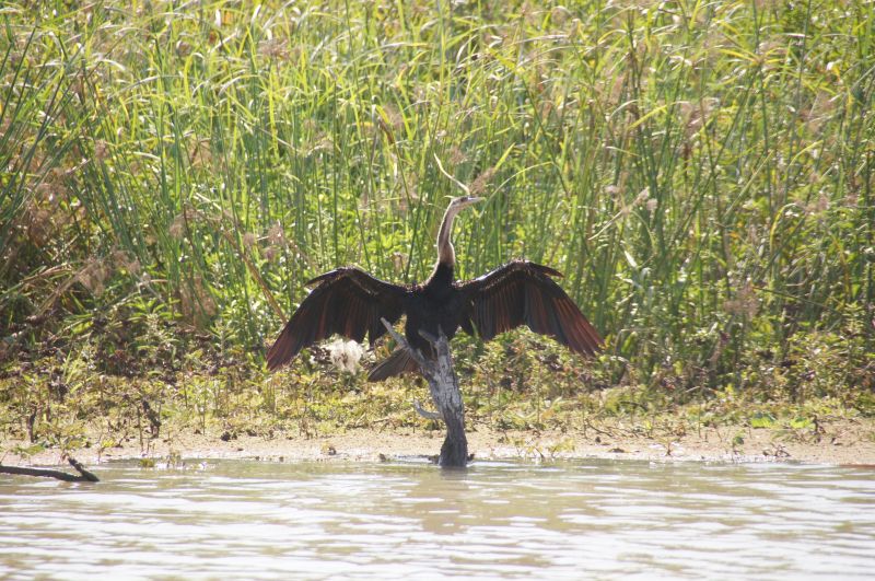 Viewing photos→2017→2017-12-05→145