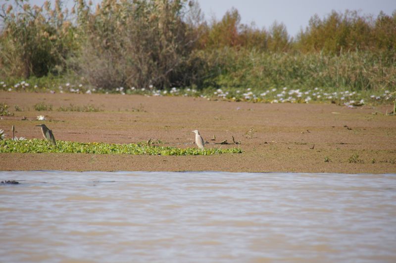 Viewing photos→2017→2017-12-05→147