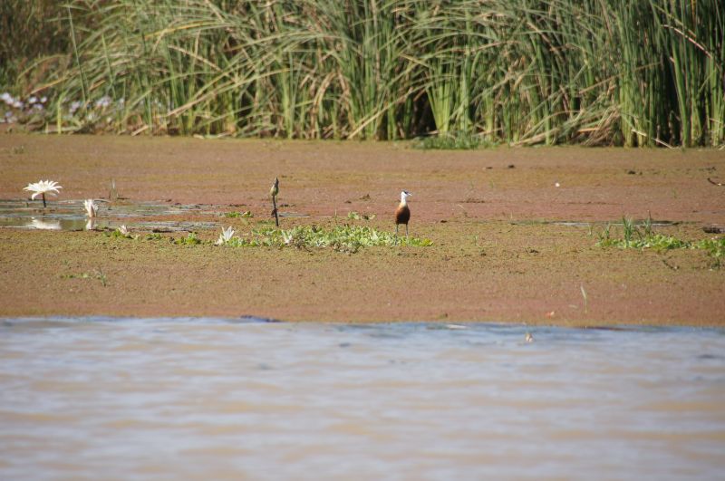 Viewing photos→2017→2017-12-05→149