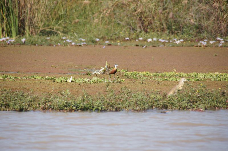 Viewing photos→2017→2017-12-05→151