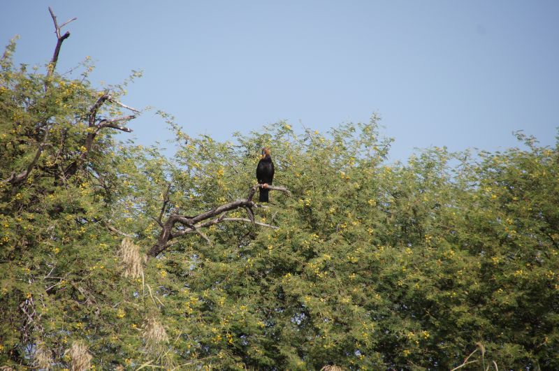 Viewing photos→2017→2017-12-05→155