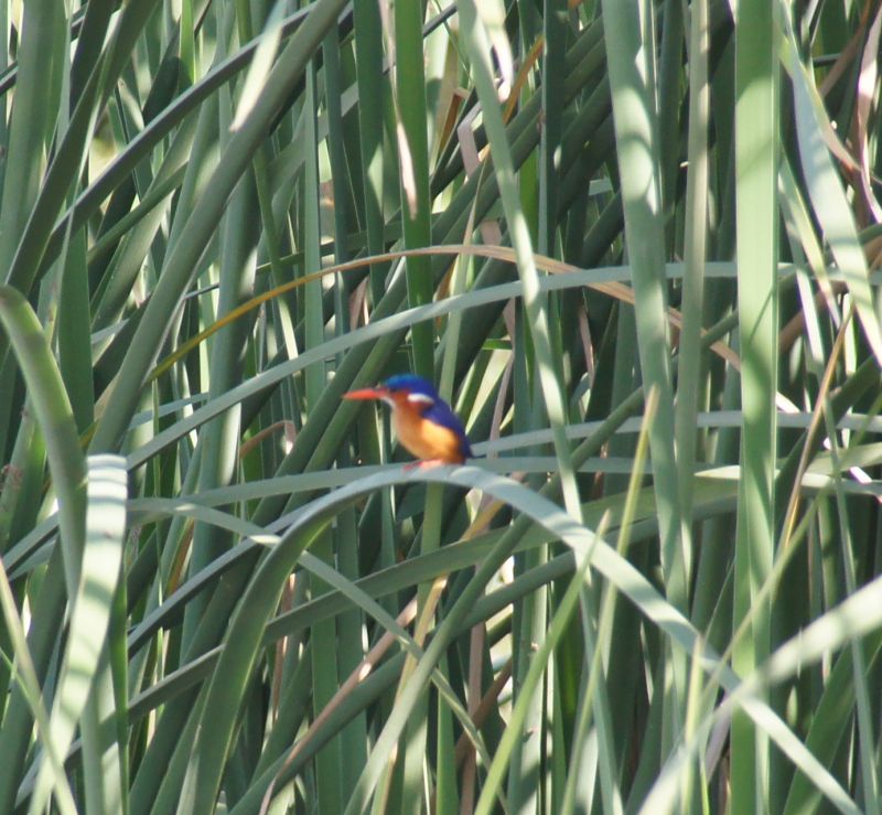 Viewing photos→2017→2017-12-05→158