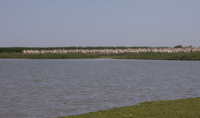 Viewing photos→2017→2017-12-05→162