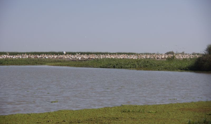 Viewing photos→2017→2017-12-05→164