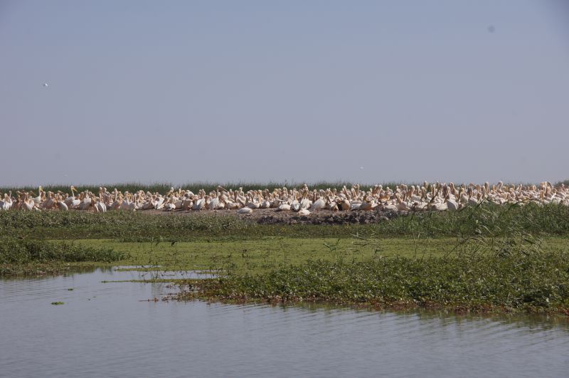 Viewing photos→2017→2017-12-05→166