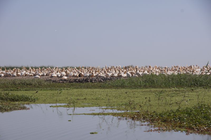 Viewing photos→2017→2017-12-05→167