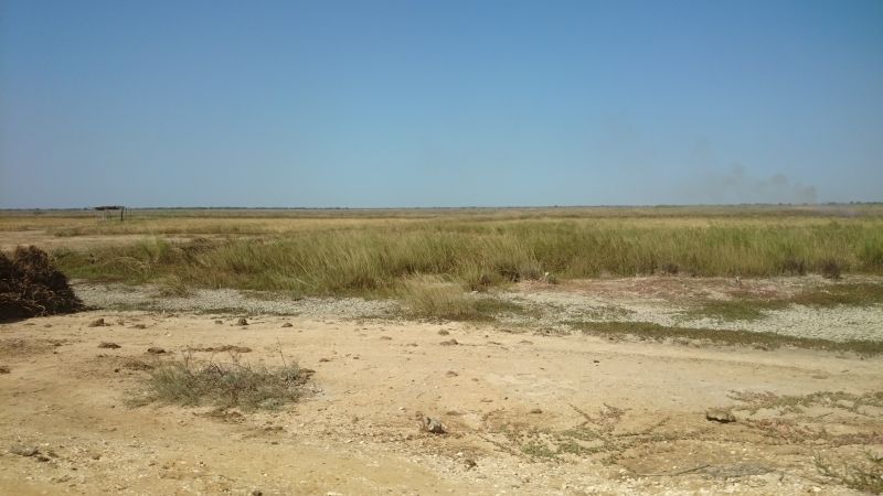 Viewing photos→2017→2017-12-05→181