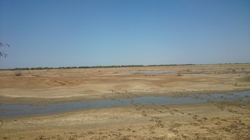 Viewing photos→2017→2017-12-05→184