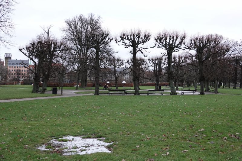 Viewing photos→2017→2017-12-17→05