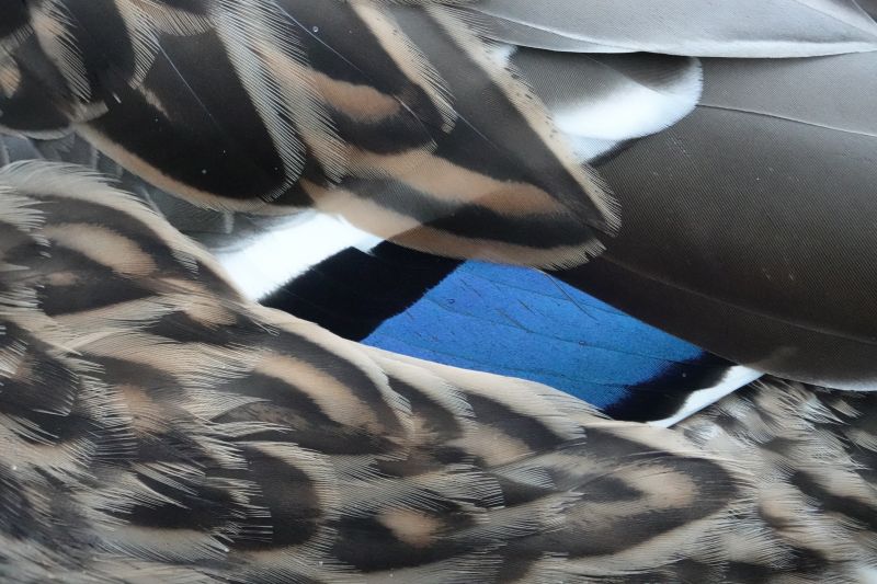 Viewing photos→2017→2017-12-17→13