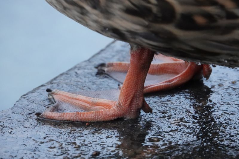 Viewing photos→2017→2017-12-17→16