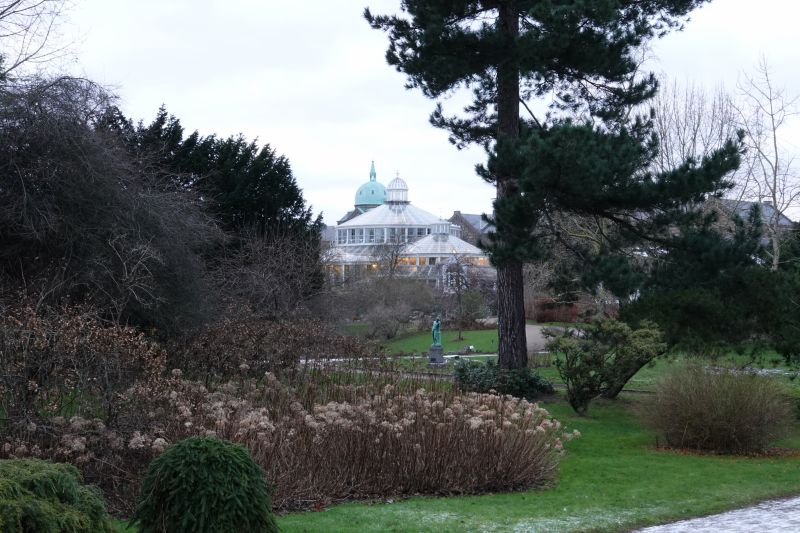 Viewing photos→2017→2017-12-17→26