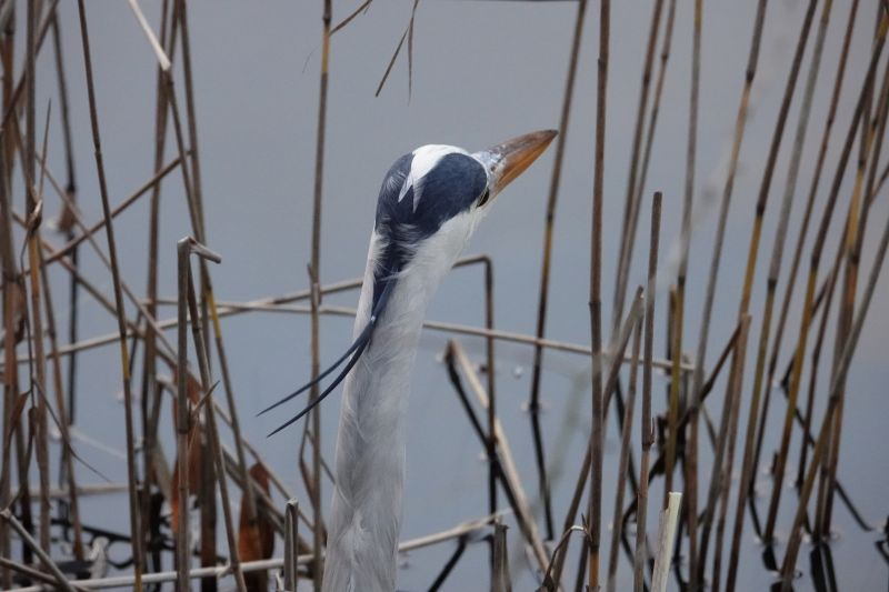 Viewing photos→2017→2017-12-17→33