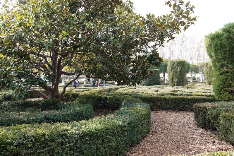 Viewing photos→2018→2018-02-17→029