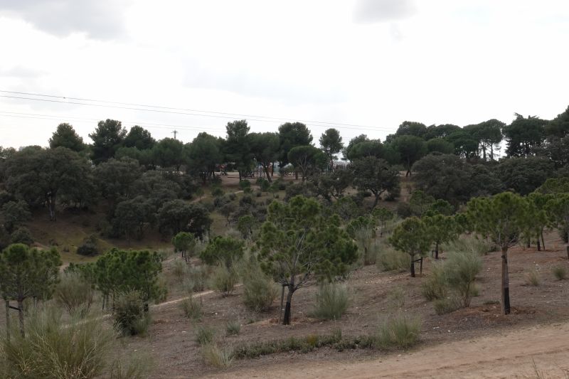 Viewing photos→2018→2018-02-17→084