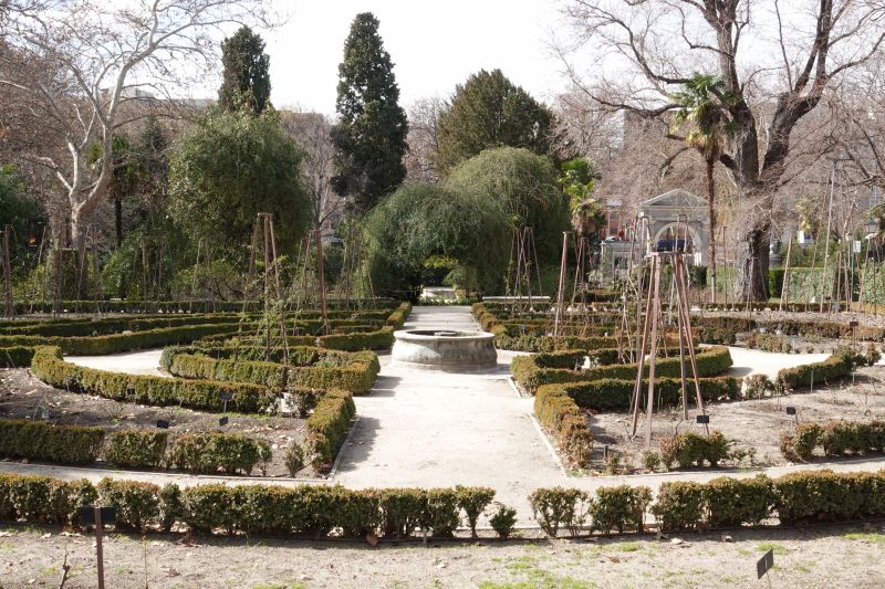 Viewing photos→2018→2018-02-17→109