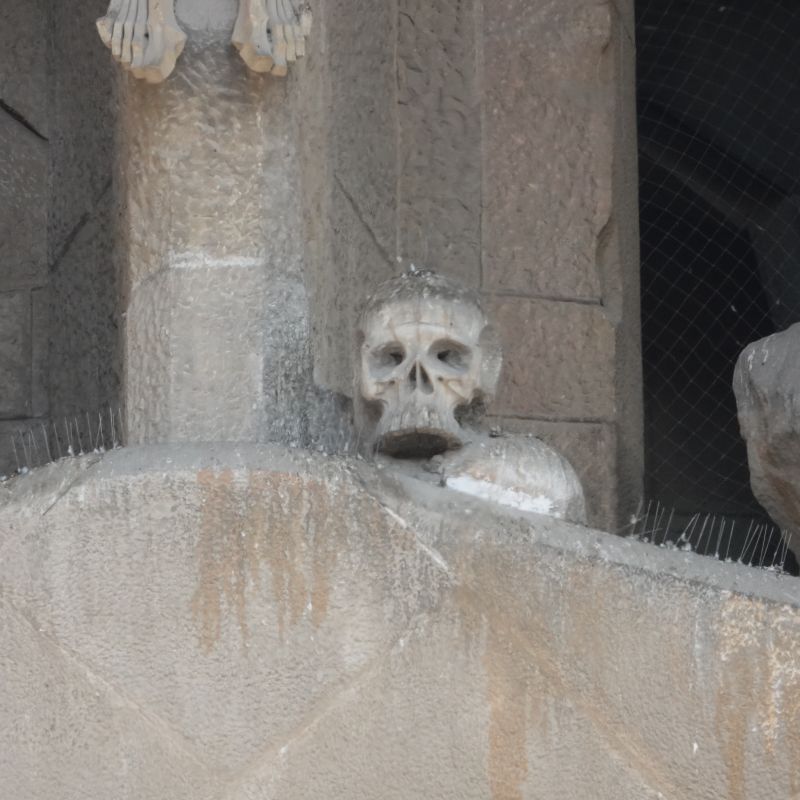 Viewing photos→2018→2018-02-24→13