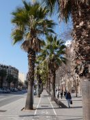 23.jpg - 2018:02:24 13:19:26