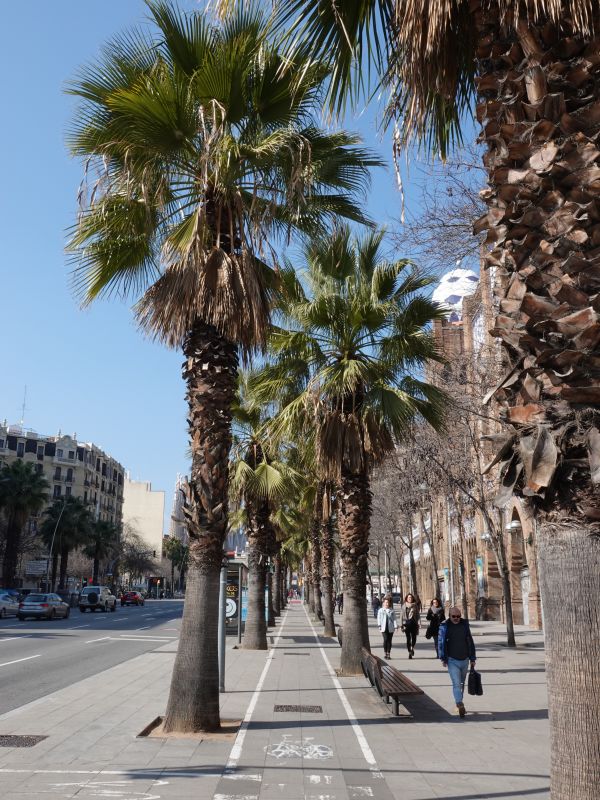 Viewing photos→2018→2018-02-24→23