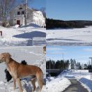 2018-03-30 - 2018-04-01<br/>
<b>Umeå, Sweden</b>
