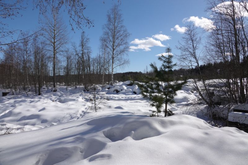 Viewing photos→2018→2018-03-30→004