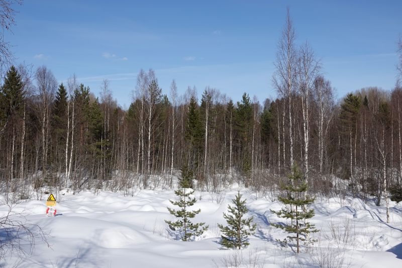 Viewing photos→2018→2018-03-30→020