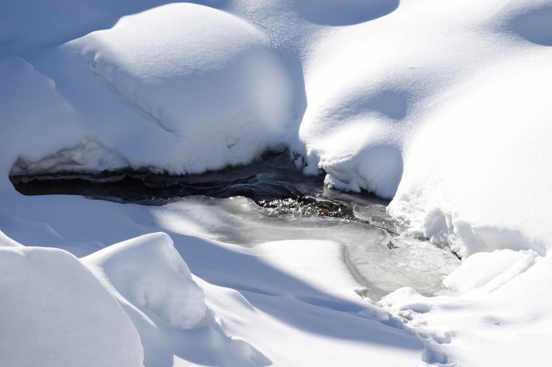 Viewing photos→2018→2018-03-30→022