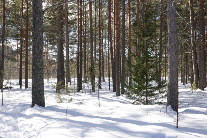 Viewing photos→2018→2018-03-30→034