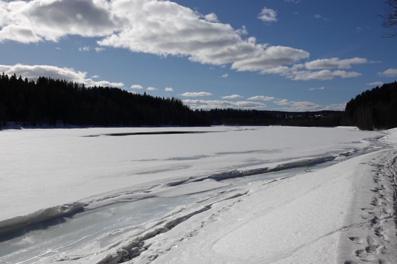 Viewing photos→2018→2018-03-30→040