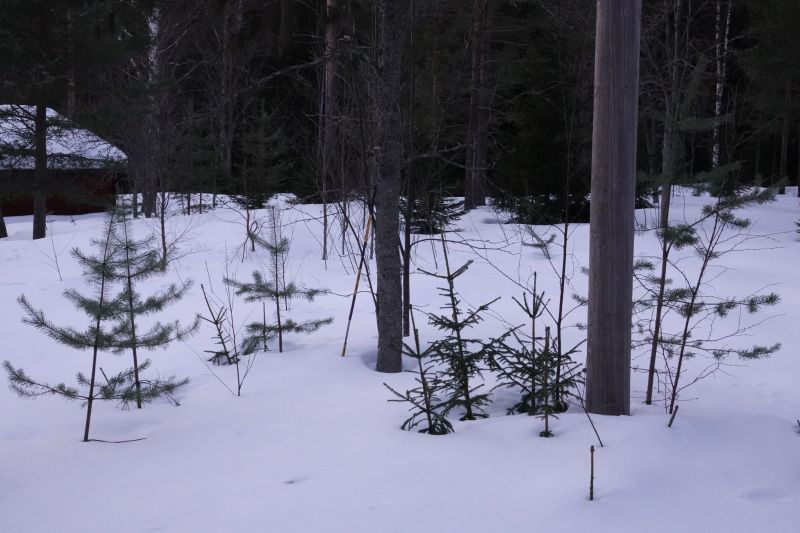 Viewing photos→2018→2018-03-30→058