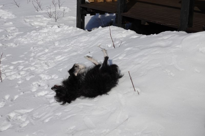 Viewing photos→2018→2018-03-30→066