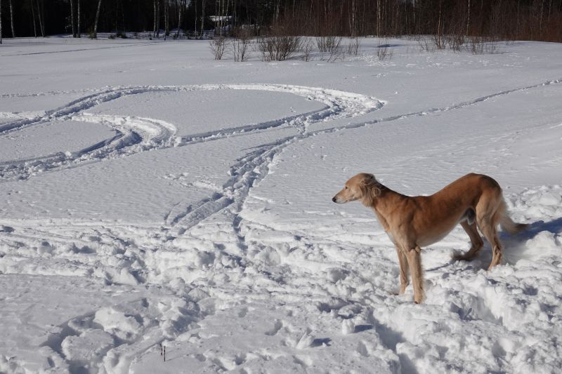 Viewing photos→2018→2018-03-30→073