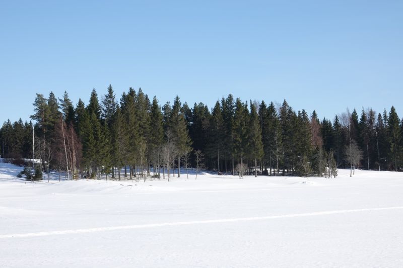 Viewing photos→2018→2018-03-30→078