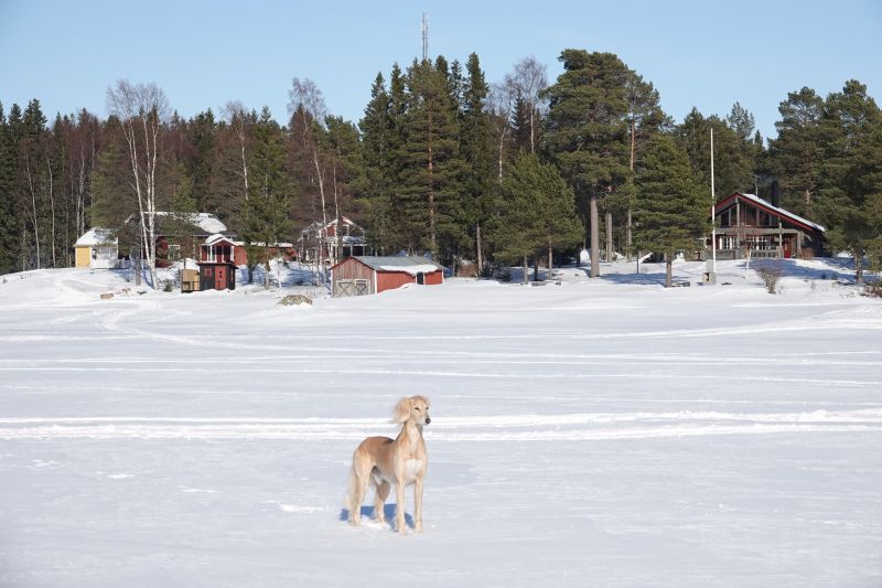 Viewing photos→2018→2018-03-30→083