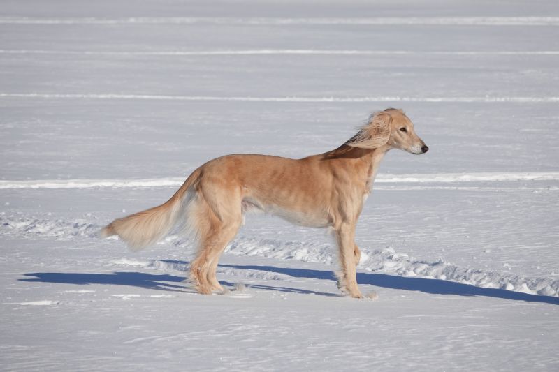 Viewing photos→2018→2018-03-30→084