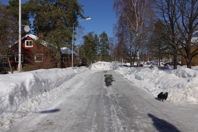 Viewing photos→2018→2018-03-30→091