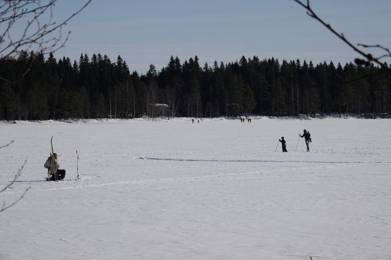 Viewing photos→2018→2018-03-30→101