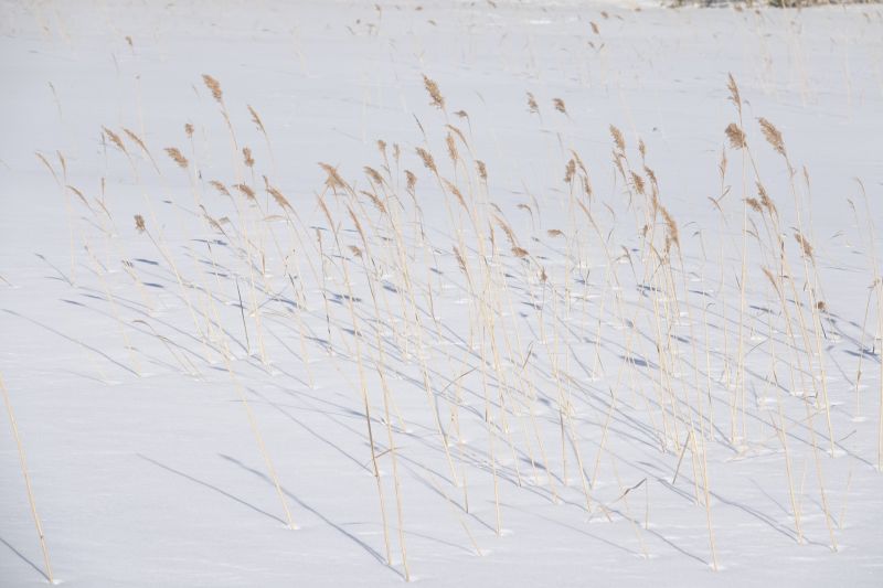 Viewing photos→2018→2018-03-30→108