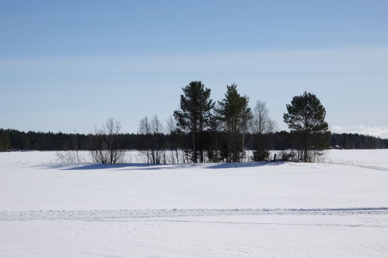 Viewing photos→2018→2018-03-30→112