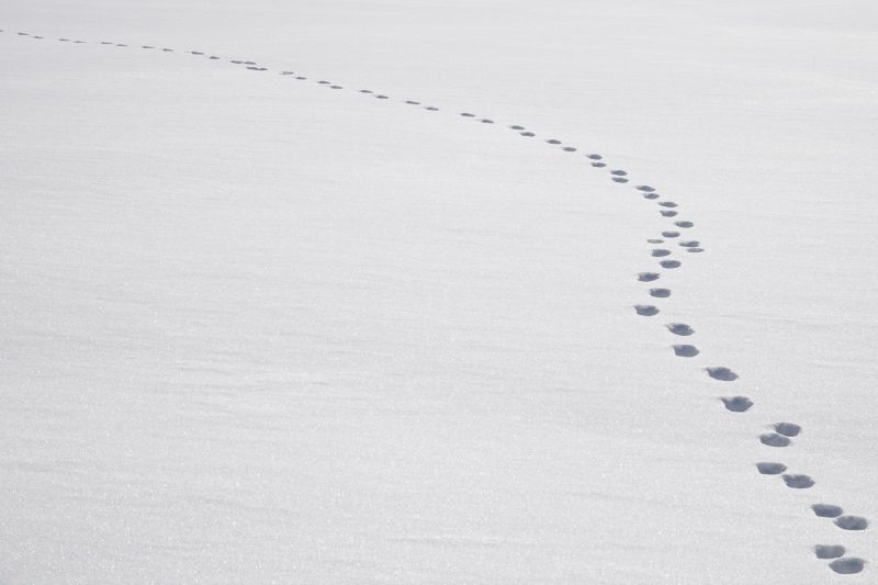 Viewing photos→2018→2018-03-30→115