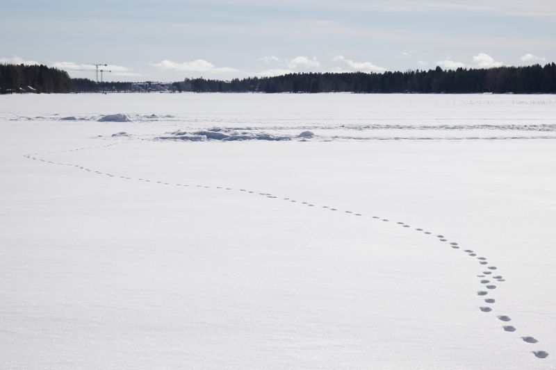 Viewing photos→2018→2018-03-30→116