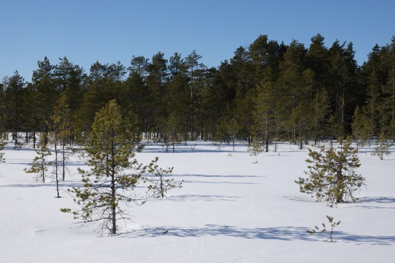 Viewing photos→2018→2018-03-30→123