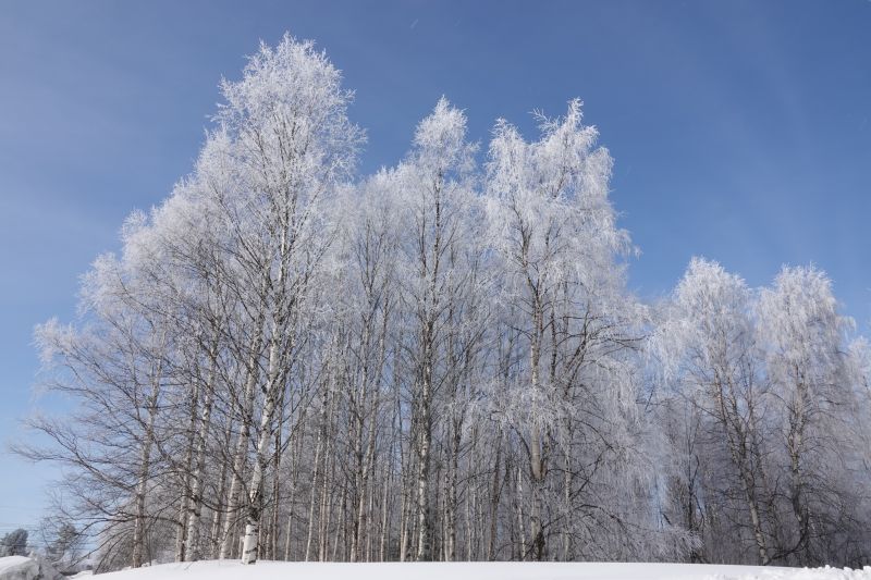 Viewing photos→2018→2018-04-02→05