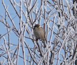 07.jpeg - 2018:04:02 09:26:03