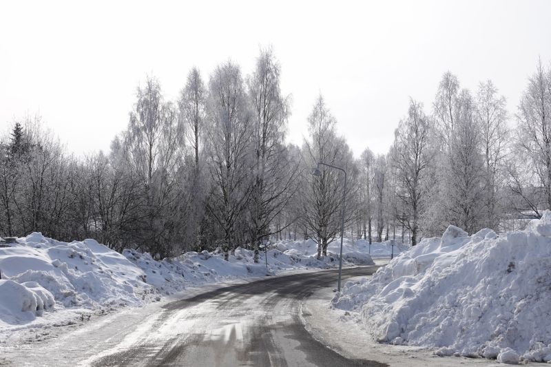 Viewing photos→2018→2018-04-02→09