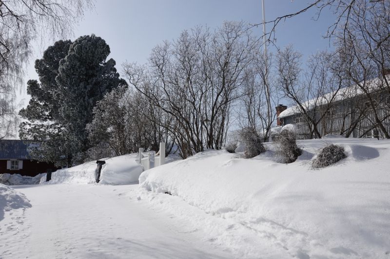 Viewing photos→2018→2018-04-02→25