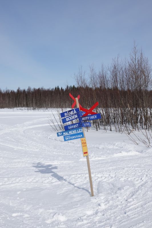 Viewing photos→2018→2018-04-02→39