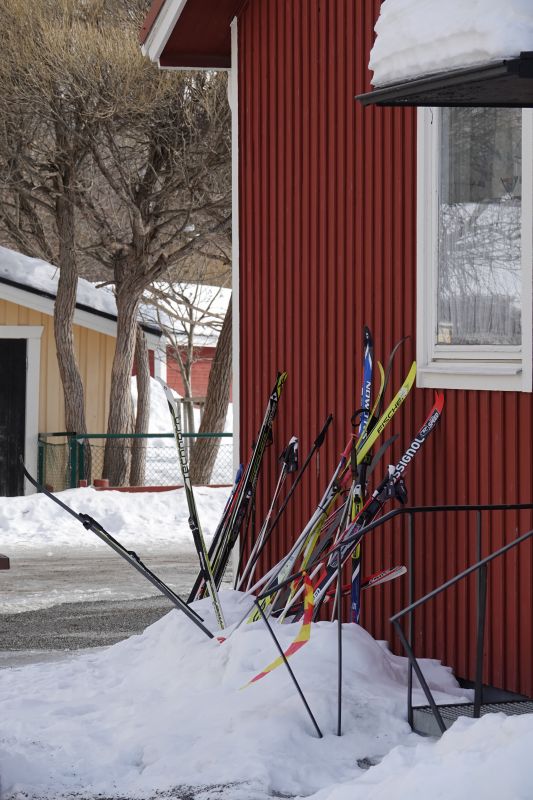 Viewing photos→2018→2018-04-02→53