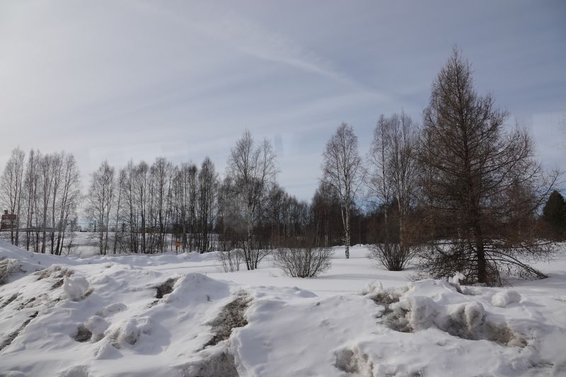 Viewing photos→2018→2018-04-02→59